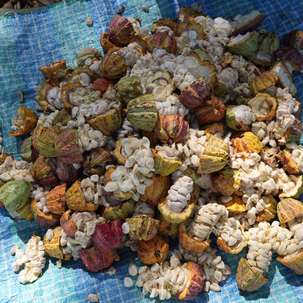 Sambirano 68.8% - Madagascar