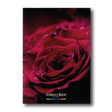 Biglietto Rosa Rossa
